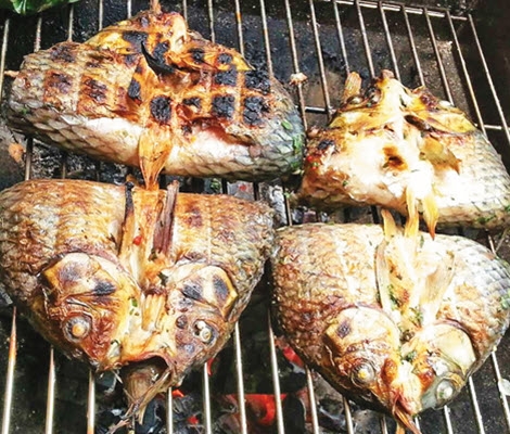 Với sự pha trộn khéo léo và kết hợp giữa các loại gia vị độc đáo, món cá nướng là món ăn mang đậm hương vị Tây Bắc. Để làm món cá nướng, người ta dùng các loại cá như cá chép, trôi, mè trắm, khoảng hơn 1kg được mổ ở dọc phía lưng, rồi rửa sạch để ráo nước, xoa một ít muối rang vào bên trong cá để thêm đậm đà. Hỗn hợp để tẩm ướp gồm mắc khén, ớt tươi nghiền nát, hành tươi, rau thơm, rau mùi thái nhỏ...trộn đều rồi nhồi vào bụng cá. Sau đó, cá được gập đôi lại rồi dùng nẹp tre nẹp cá nướng lên than hồng.