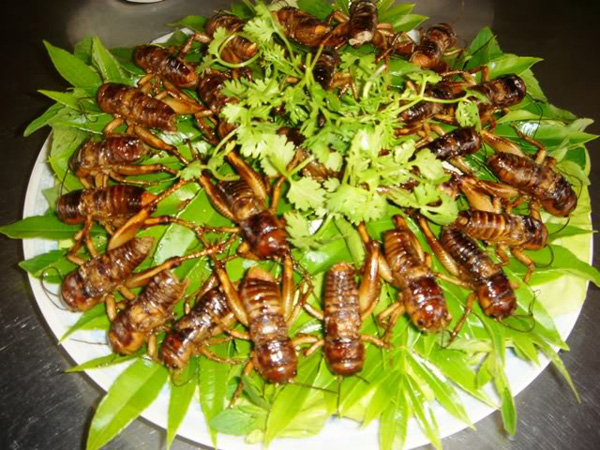 Dế cơm tuy là loại côn trùng, sống tự nhiên dưới hang nhưng là món ăn dân dã xuất hiện từ rất lâu ở Long Khánh. Thường vào mùa mưa, bọn trẻ thường đi đào dế cơm về cung cấp cho thực khách, dế cơm cũng có thể câu bằng cách thả kiến nhọt xuống hang, lấp miệng hang lại khoảng vài phút dế cơm bị kiến nhọt cắn, nhảy thót lên miệng hang tha hồ mà bắt.  Dế cơm chỉ cần nhặt sạch cánh, nhặt 2 chân sau (để đùi lại, 2 đùi dế rất béo), móc ruột bỏ hết, xong nhét hột đậu phộng vào ruột, rồi ướp nước mắm, nêm cho vừa ăn. Mắc chão dầu cho xôi, để dế vào chiên cho vàng là được.
