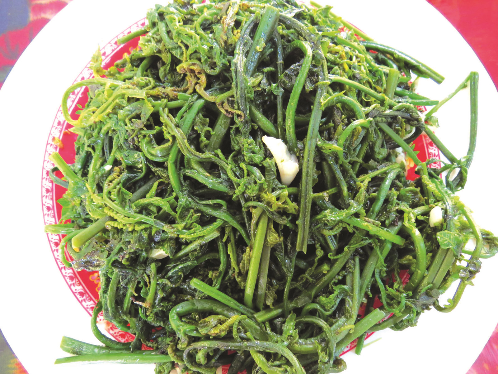 Loại rau mà người Thái gọi là ''pắc cút'' có hình dáng giống cây dương xỉ nhưng thân to, tán rộng hơn, màu xanh mỡn. Hằng năm, các trận lụt đầu mùa với dòng nước đục ngầu từ thượng nguồn đổ về mang theo phù sa bón cho đám rau dớn thêm phần tươi tốt và chuẩn bị cho một chu kỳ sinh chồi, nảy lộc theo mùa xuân sắp về. Vì thế, rau dớn ăn ngon nhất là sau mùa lụt đến cuối mùa xuân. Lá rau dớn non uốn cong như vòi con voi, có nhựa nhớt, cây xanh tươi tốt quanh năm. Người ta thường chỉ hái ngọn cong non, lá bánh tẻ để làm nộm.