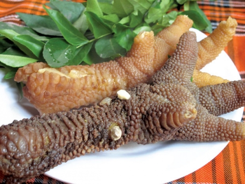 Là giống gà quý chỉ có ở huyện Khoái Châu, gà Đông Tảo còn được gọi là gà chân voi đôi chân to sần sùi như chân voi, thân hình chắc nịch.   Giống gà này rất khó nuôi, đòi hỏi phải kỳ công chăm sóc và gà càng già càng quý, thịt ăn thường có mùi vị thơm ngon đặc trưng không lẫn với bất kỳ loại gà nào.   Gà Đông Tảo có thể được nấu thành nhiều món, nhưng độc đáo nhất là món “vảy rồng hầm thuốc bắc” làm từ đôi chân to quá khổ của chúng.