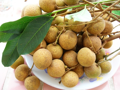 Nhãn lồng Hưng Yên quả to tròn, vỏ có màu vàng nâu nhạt, cùi dày, ráo nước, bóc một lớp vỏ mỏng láng để lộ lớp cùi nhãn dày trắng ngà, bên trong là hạt nhỏ màu đen nháy, đưa vào miệng nếm thử có vị ngọt thơm, giòn dai.