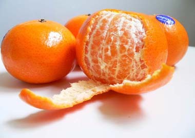 Quýt Bắc Sơn được trồng trên các khe núi, thung lũng hay trên sườn đồi của huyện Bắc Sơn, nổi tiếng bởi màu sắc hấp dẫn, quả căng mọng, ít hạt có vị ngọt đậm hơi chua, hương vị rất đặc trưng mà nơi khác không có được. Quýt ở đây có hai loại là quýt ròn và quýt dẹt.  Bắc Sơn nổi tiếng với giống quýt vàng, theo chân người lái buôn đi khắp mọi miền Đăng Ký 13Winvn Com Chính Thức. Giá trung bình 30 - 45.000 đồng/kg tùy mẫu mã.