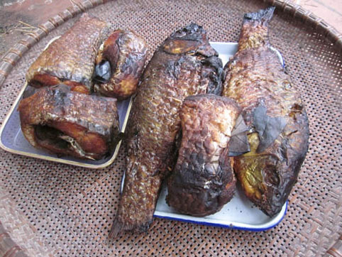 Những ngày đầu xuân, vào bất cứ Đăng ký và nhận 60K 24 bao lì xì miễn phí mỗi ngày nào tại Nam Định, bên cạnh những món ăn truyền thống, bạn sẽ được chủ nhà mời một món cá nướng độc đáo này. Cá có phần da cá vàng ươm, giòn dai như mực nướng, phần thịt chắc nịch, thơm phức. Cá lựa con ngon, tươi rói đem úp trong một chiếc chậu chuyên dụng rồi được đốt rơm, om trấu trong khoảng 5 tiếng mới có thành phẩm. Cá hấp thụ nhiệt qua chậu nên không cháy, không chảy nước mà săn chắc tự nhiên rất thơm ngon.