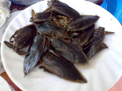Cà niễng thường nhỏ như đầu ngón tay út, cánh đen, hơi cứng, sống nơi ruộng nước, chỗ có nhiều cỏ năn, cỏ lác hoặc nhiều rong rêu. Cà niễng được vặt hết chân, bỏ cánh và có người cẩn thận hơn moi bụng, rồi rửa sạch, để cho khô nước, rang lên như rang tép rồi cho mắm muối vừa phải (có nơi “thêm” vào một chút nước muối cà), thế là thành một món ăn đồng quê đích thực.  Cầm miếng cháy cuộn tròn lại như cái chuôi dao, gắp vài con cà niễng làm “nhân” khẽ cắn và đủng đỉnh mà nhai, mới cảm thấy cái hương vị đồng quê sao mà đậm đà thấm thía vậy.