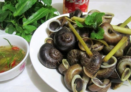 Ốc núi Ninh Bình là một đặc sản mới nổi của Ninh Bình. Loài ốc này cực hiếm vì chúng chỉ sống trong các hốc đá, đến mùa mưa từ tháng 4 đến tháng 8 mới bò ra kiếm ăn và sinh sản. Ốc núi xuất hiện ở hầu hết các nơi tỉnh Ninh Bình nhưng tập trung nhiều nhất là ở các dãy núi đá vôi Tam Điệp, Yên Mô và Nho Quan. Ốc núi trong hang rất khó phát hiện, người ta thường phải dậy từ sáng sớm khi ốc bò ra khỏi hang kiếm ăn mới tìm bắt được. Thịt ốc núi dai, giòn, ngọt, thơm mùi thuốc bắc. Ốc núi có thể chế biến thành nhiều món như nướng, xào me, hấp gừng, luộc xả hết, trộn gỏi hành tây…đều rất hấp dẫn.