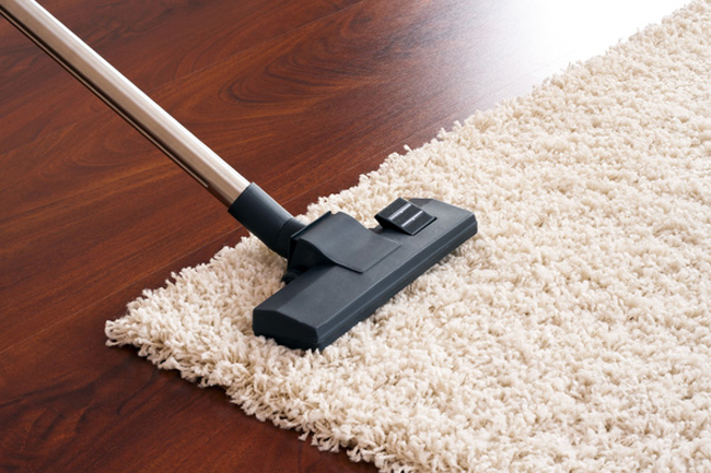 Thảm trải nhà chứa số vi khuẩn nhiều hơn gấp 4000 lần so với bồn cầu nhà bạn: Hãy cố gắng đừng nghĩ về điều này khi đang bước qua tấm thảm nhà bạn vào buổi tối nhé. Để “chăm sóc” nó, Forte đã gợi ý cần hút bụi một lần 1 tuần để tránh việc số bụi đất tăng lên. 