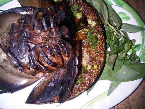 Một loài đặc sản vô cùng hấp dẫn của biển Hạ Long, đó là sam - một loài giáp xác chân đốt. Từ sam biển người ta có thể chế biến ra được rất nhiều món ăn ngon và lạ khác nhau như: Tiết canh sam, gỏi sam, chân sam xào chua ngọt, sam xào xả ớt, trứng sam chiên giòn, trứng sam xào lá lốt, sam hấp, sam bao bột rán, sụn sam nướng, sam xào miến…