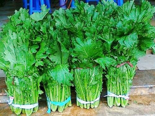 Rau cải mèo Mộc Châu ấn tượng nhất là cái vị đăng đắng ngăm ngăm vừa phải của nó. Đăng đắng qua rất nhanh để rồi khi qua đi, lại cảm nhận rõ thêm cái ngọt ngào, tươi non, mềm mại của rau; ngọt ngào, đậm đà của nước chấm. Thông thường, chế biến một cách đơn giản nhất, chỉ cần thái nhỏ, đập gừng đổ nước vào đun sôi là có một bát canh mát, rất hợp cho thực khách uống rượu, đặc biệt thích hợp trong thời tiết mùa đông. Cải mèo Mộc Châu ngoài ăn luộc còn có thể dùng ăn lẩu, xào với thịt hun khói, thịt gà… món nào cũng đặc sắc và có hương vị riêng. Nhưng ăn luộc chấm mắm dầm trứng vừa bình dị mà lại giữ được nhiều hương vị của cây cải mèo Mộc Châu nhất.