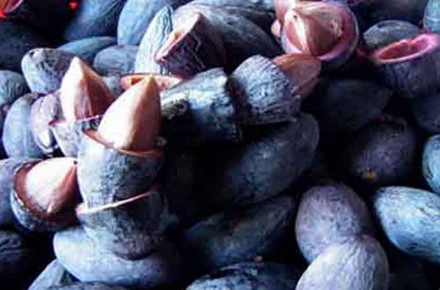 Trong các sản vật thiên nhiên ban tặng cho người dân Phú Bình thì trám đen một trong những đặc sản nổi tiếng. Quả trám hình thoi, khi chín có màu đen, cùi trám vàng, nhân bên trong hạt trắng ngần. Theo người dân nơi đây, từ khi trồng trám đến khi cây cho quả phải mất 7 - 8 năm và trong mười cây trám giống thì chỉ có khoảng 3 – 4 cây là trám cái, còn lại là trám đực không có quả. Người ta có thể dùng trám để chế biến thành nhiều món ăn khác nhau như xôi trám, trám kho thịt, cá, gỏi trám và đặc biệt là món nham trám đã trở thành đặc sản nổi tiếng, chỉ ăn một lần là nhớ mãi không thôi.