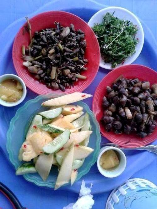 Chùa Thanh Hà, phố Bến Ngự là địa chỉ quen của những thực khách trót mê mẩn món ốc mút và các món từ ốc. Vị đậm đà của ốc được tẩm ướp gia vị kỹ lưỡng cùng mùi sả ớt thơm nức mũi sẽ là một trải nghiệm khó quên với những ai mới thưởng thức lần đầu. Vị cay nồng đằm đằm của món ăn sẽ khiến bạn bị “xúc động” đôi chút.