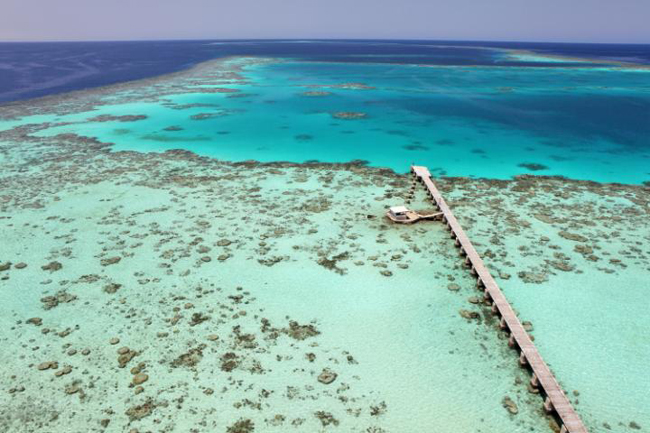 Vườn quốc gia Sanganeb Marine và Vịnh Dungonab, Sudan: Một đảo san hô cách bờ biển của Sudan chừng 25km, Vườn quốc gia Sanganeb là một nơi thu hút những người lặn dũng cảm, với dòng nước trong như thủy tinh và đa dạng các loài động vật hoang dã. Vịnh Dungonab là một điểm hấp dẫn khác, đầy ắp cá nược, cá đuối, rùa, cá mập và san hô đầy màu sắc.