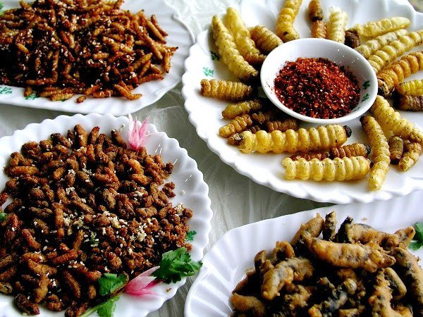 Loi choi có thân tròn như chiếc đũa, người ta thường ướp muối phơi dốt dốt rồi chiên sả ớt. Món này vào nhà hàng, gọi thử nhấm nháp với bia, rượu xong thì chẳng muốn gọi món gì nữa. Loi choi sống ở vùng giáp nước giữa mặn và ngọt, thoạt nhìn giống như lịch ở vùng nước ngọt, nhưng không có con nào lớn hơn ngón tay út, chúng dài từ 20 đến 40 cm, thân màu trăng trắng và trong suốt.  Món loi choi còn tươi sống hoặc đã phơi khô mà đem nướng sơ qua lửa than thì không còn gì ngon hơn. Mỡ từ thân của chúng tươm ra thơm phức, cứ để nguyên con đã uốn cong vì mỡ nóng, đưa lên miệng cắn một miếng, vị béo của mỡ loi choi, hương thơm của sả ớt... nhai sớ thịt loi choi dai dai và một chút rượu nồng đưa cay, thích lắm.