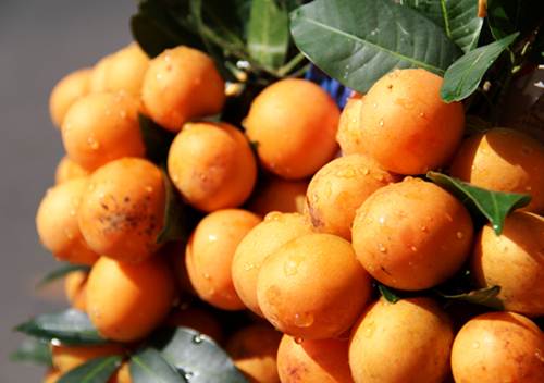 Thanh trà là loại trái cây khác thu hút không kém bưởi năm roi. Cứ nhìn những chùm quả tròn vàng ươm lúc tháng giêng, ba, khó người nào kìm lòng mà không mua vài ký.  Có hai loại thanh trà: chua và ngọt phục vụ khẩu vị từng người. Thanh trà chín chấm muối ớt chinh phục tất cả chị em phụ nữ như rất nhiều loại trái cây chua chua được ưa chuộng xưa nay.