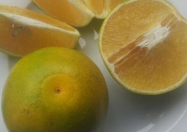 Trái cam xoàn là một món ăn đặc sản của Vĩnh Long. Đây là một loại trái cây cùng họ với cam mật, rất dễ trồng nhất là ở vùng đất cao ráo, dễ thoát nước thì cây sinh trưởng và phát triển mạnh, thông thường cây từ 3 năm tuổi trở lên sẽ cho trái quanh năm. Trái cam xoàn to hơn quít, ruột có màu vàng, vị ngọt thanh hơn quít. Theo khoa học, cam xoàn giúp tăng cường hệ miễn dịch, tăng cường thể lực, có lợi cho làn da của bạn.