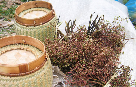 Mắc khén đứng đầu trong các loại gia vị của đồng bào dân tộc miền núi. Cây mắc khén là loại cây dại thuộc họ hồi, có tinh dầu và hương thơm, trở thành huyền thoại và làm nên loại gia vị đậm đà không thể thiếu trong bữa ăn đồng bào miền Tây Bắc.  Hầu như không có bữa ăn nào quan trọng của người Thái lại thiều mắc khén. Quả mắc khén sau khi thu về, bắc chảo rang nóng. Tiếp đó, đưa vào giã thành bột mịn. Tuy nhiên để chế ra được hương vị thơm, chuyên dùng ăn với xôi nếp nương, còn phải qua nhiều công đoạn khác. Đó là dùng ớt khô bỏ hạt nướng giòn, muối rang, rau mùi tầu xắt nhỏ rang khô, tất cả đều giã thành bột mịn. Sau khi trộn đều hỗn hợp trên thì tạo thành mắc khén, một thứ bột mùi thơm hăng hắc nhưng lại dịu như vị ô mai và phảng phất chất núi rừng, thơm cay nồng nàn như hương hồi, quế.