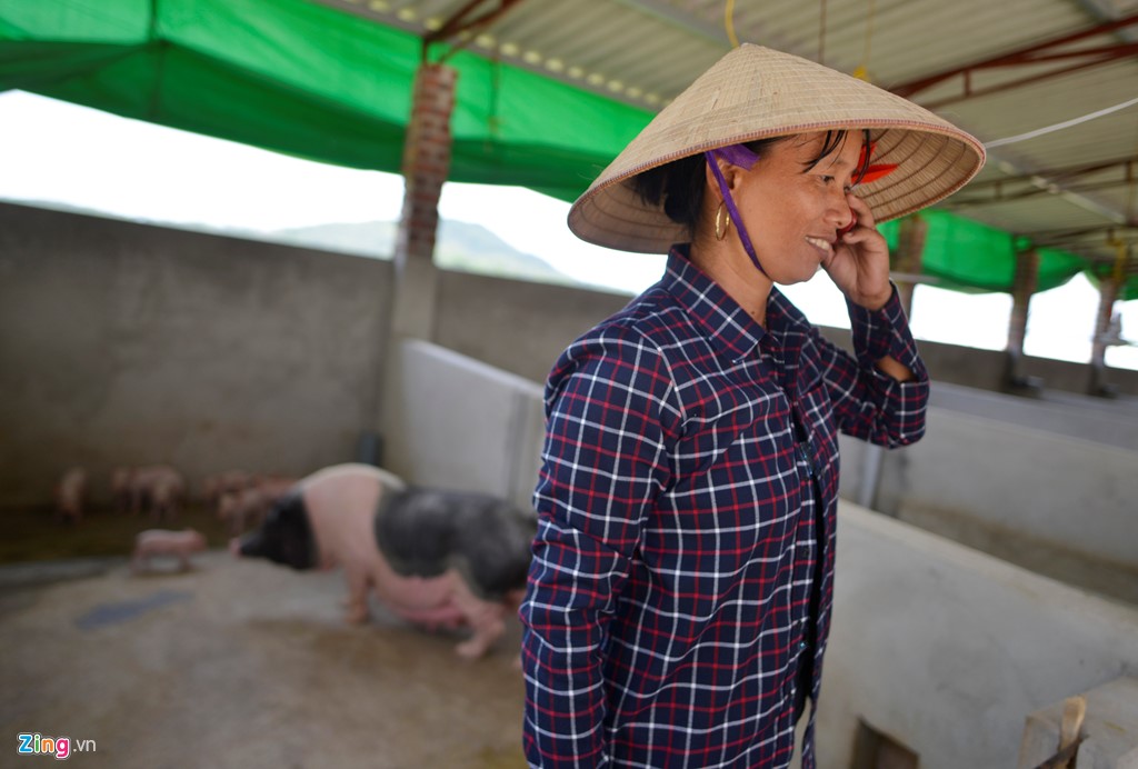 Trung bình, mỗi năm nhà chị Cúc lãi được 300 triệu đồng nhờ nuôi ngựa nấu cao. Hiện tại nhà chị nuôi 4 con ngựa bạch. Sau khi bán một con, Đăng ký và nhận 60K 24 bao lì xì miễn phí mỗi ngày lại mua con khác về thay thế, quay vòng vốn. Ảnh: Zing.vn