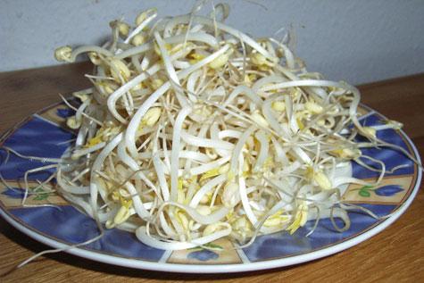 Gi&aacute; đỗ rửa sạch, để r&aacute;o.