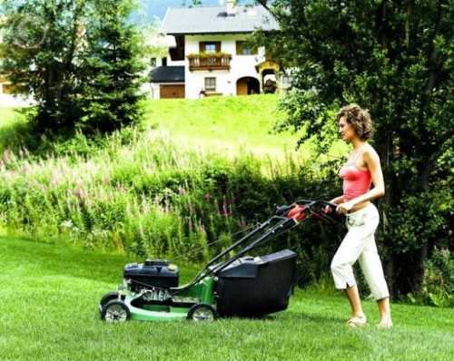 M&aacute;y cắt cỏ Mountfield SP555