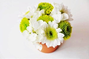 Với chậu nhỏ, chỉ cần cắm xen kẽ hoa nhỏ m&agrave;u xanh v&agrave; trắng, hoa trắng nh&ocirc; cao hơn hoa xanh một ch&uacute;t hoặc cắm đều bằng bề mặt rồi vuốt cho c&aacute;nh hoa trắng phủ l&ecirc;n tr&ecirc;n hoa xanh một ch&uacute;t.