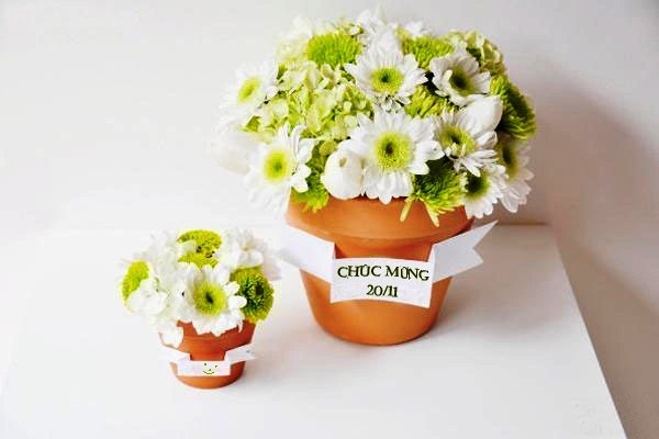Hai b&igrave;nh hoc c&uacute;c thanh khiết, tươi đẹp v&agrave; tr&igrave;u mến d&agrave;nh tặng thầy c&ocirc; nh&acirc;n ng&agrave;y 20/11. 