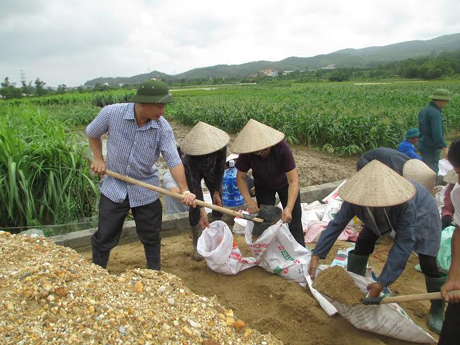Nhân dân trên địa bàn huyện tham gia khắc phục đoạn đê bị sạt lở.