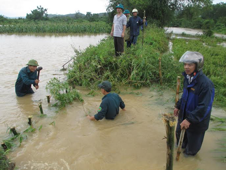 Những đoạn đê bao bị vỡ đang được khẩn trương khắc phục.