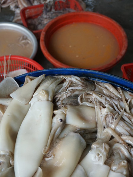 Cá mực tẩy trắng chờ bán ra thị trường