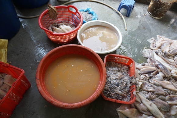 ...nước rửa mực nổi váng vàng...