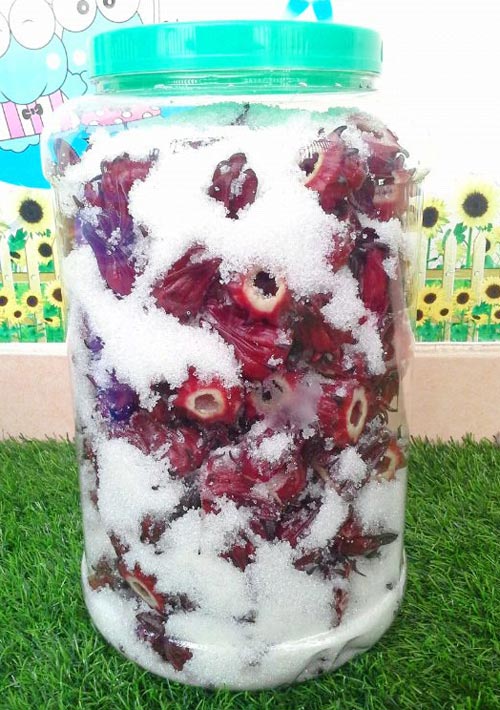 Cứ l&agrave;m lần lượt như thế cho đến hết rồi đ&oacute;ng chặt nắp lại, để nơi tho&aacute;ng m&aacute;t.