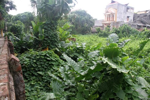 Gần 10 năm qua, nhạc sĩ Xuân Giao là nguyên đơn trong vụ án chia thừa kế quyền sử dụng đất của ông cha để lại tại thị trấn Như Quỳnh Gần 10 năm qua, nhạc sĩ Xuân Giao là nguyên đơn trong vụ án chia thừa kế quyền sử dụng đất của ông cha để lại tại thị trấn Như Quỳnh