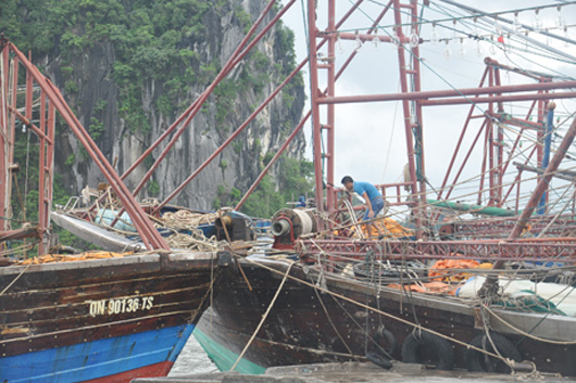 Quảng Ninh khẩn trương khắc phục hậu quả sau bão số 3: