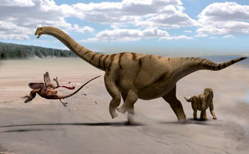  Sauropod khủng long cổ d&agrave;i