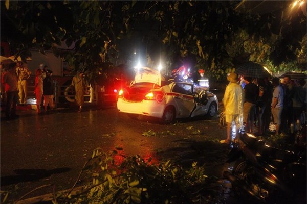 V&ograve;i rồng g&acirc;y đổ c&acirc;y, đ&egrave; chết l&aacute;i xe taxi tại H&agrave; Nội
