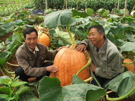 N&acirc;ng cao chất lượng an ninh lương thực l&agrave; ưu ti&ecirc;n h&agrave;ng đầu của nhiều ch&iacute;nh phủ