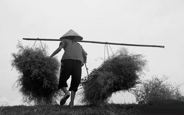 Nhật k&yacute; của mẹ l&agrave; b&agrave;i h&aacute;t hay d&agrave;nh tặng mẹ trong ng&agrave;y 8/3