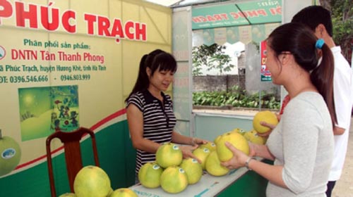 Bưởi Ph&uacute;c Trạch được m&ugrave;a được gi&aacute;
