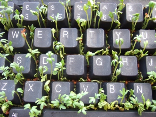 các phím tắt khi lướt web