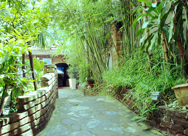 Cà phê Lối Về không chỉ là chỗ dừng chân mà còn là một không gian ấm cúng cho những cặp đôi muốn cùng nhau tìm kiếm và sẻ chia sự tĩnh lặng, thư thái trong tâm hồn