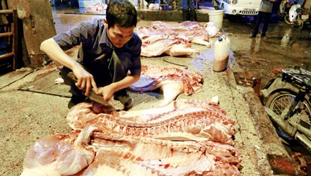 Thời gian gần đ&acirc;y xuất hiện nhiều trường hợp sử dụng chất cấm trong chăn nu&ocirc;i