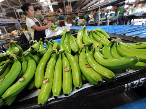 Philippine đ&atilde; từng đ&aacute;nh cược đầu ra n&ocirc;ng sản của m&igrave;nh cho Trung Quốc