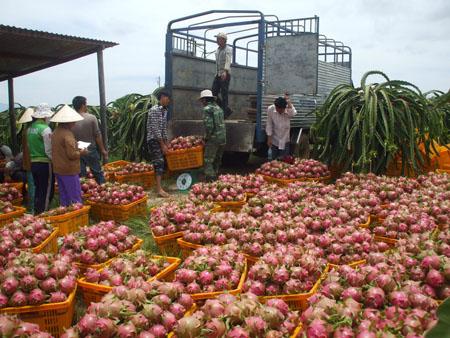 Đ&atilde; tới l&uacute;c n&ocirc;ng nghiệp Việt Nam cần mở rộng thị trường đầu ra n&ocirc;ng sản 