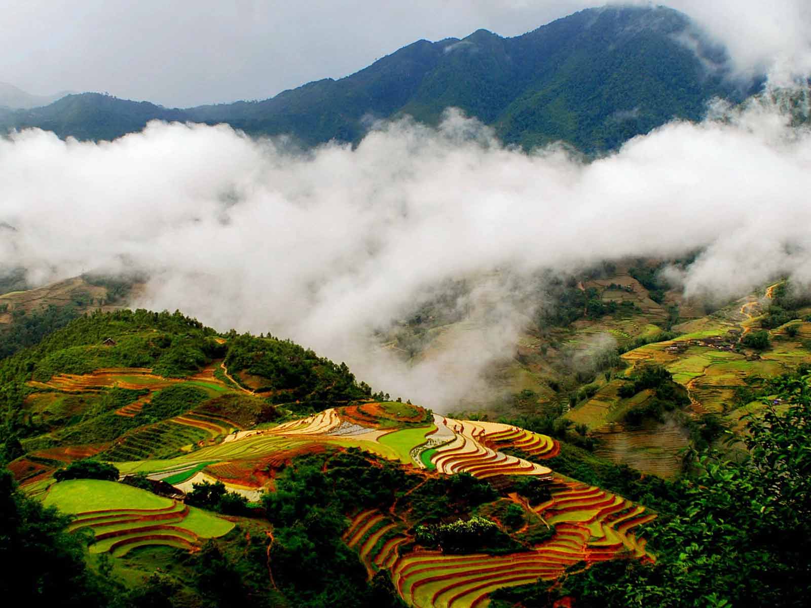 Sapa l&agrave; một địa điểm du lịch Tết l&yacute; tưởng hấp dẫn kh&aacute;ch du lịch