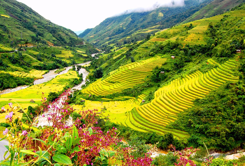 Một trong những địa điểm du lịch Tết h&uacute;t kh&aacute;ch du lịch nhất miền Bắc l&agrave; Sa Pa