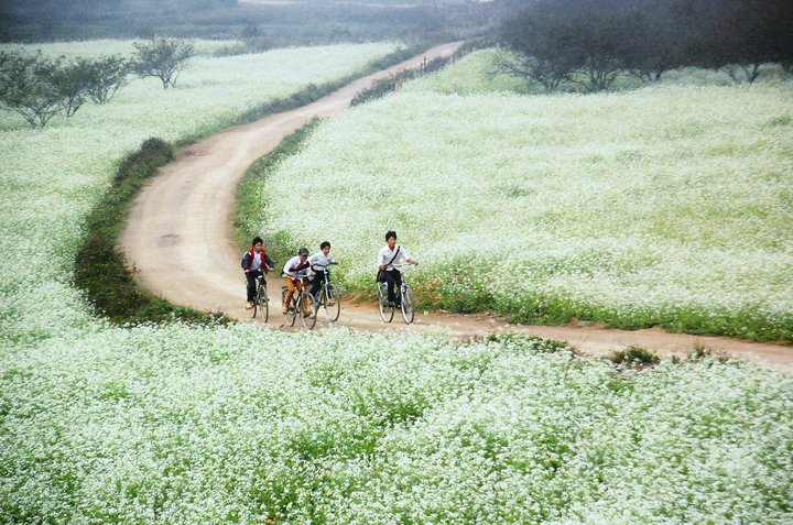 Mộc Ch&acirc;u l&agrave; một địa điểm du lịch Tết hấp dẫn kh&aacute;ch du lịch đặc biệt l&agrave; những người m&ecirc; nhiếp ảnh