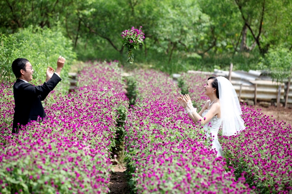 B&atilde;i đ&aacute; s&ocirc;ng Hồng v&agrave; vườn hoa Nhật T&acirc;n từ l&acirc;u đ&atilde; trở th&agrave;nh địa điểm chụp ảnh cưới l&yacute; tưởng cho m&ugrave;a xu&acirc;n với những sắc m&agrave;u rực rỡ 