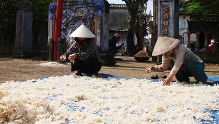 Người d&acirc;n huyện đảo L&yacute; Sơn phơi rau c&acirc;u vừa được khai th&aacute;c từ v&ugrave;ng biển Ho&agrave;ng Sa chuẩn bị b&aacute;n trong dịp Tết