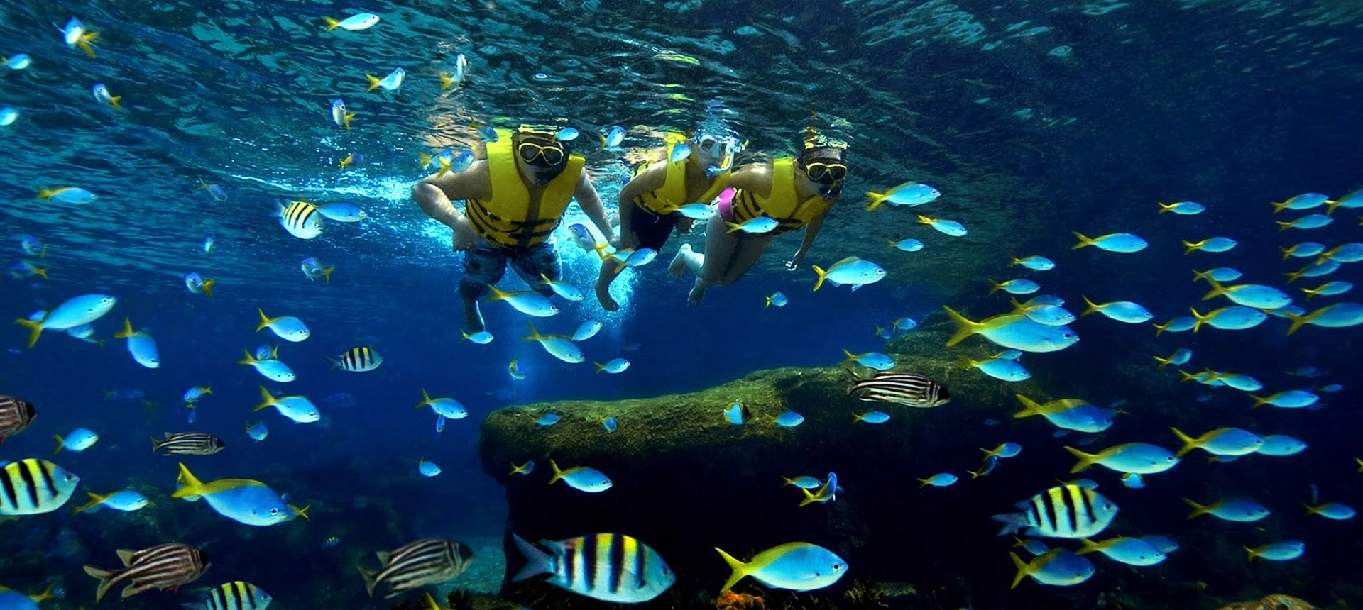 Du lịch Nha Trang dịp 30/4 vui m&agrave; rẻ - ảnh 4