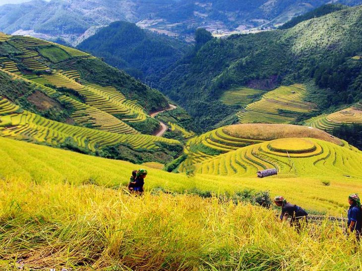 Du lịch Sapa dịp 30/4 n&agrave;y thời tiết m&aacute;t mẻ, cảnh sắc thi&ecirc;n nhi&ecirc;n tuyệt diệu