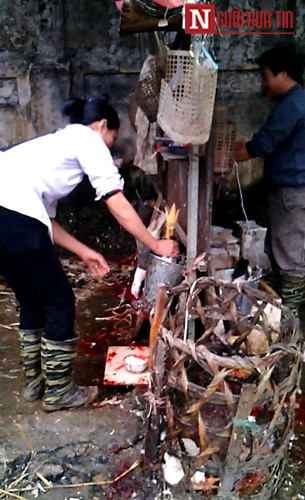 Cơ sở l&agrave;m g&agrave; nằm cạnh một con mương bẩn đầy r&aacute;c thải bẩn