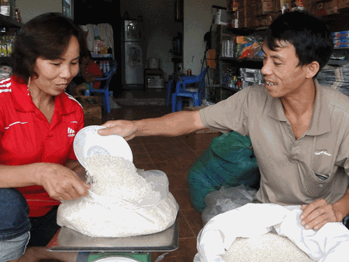 Ng&agrave;y c&agrave;ng c&oacute; nhiều th&ocirc;ng tin gạo giả từ c&aacute;c nguồn nguy&ecirc;n liệu kh&aacute;c nhau.